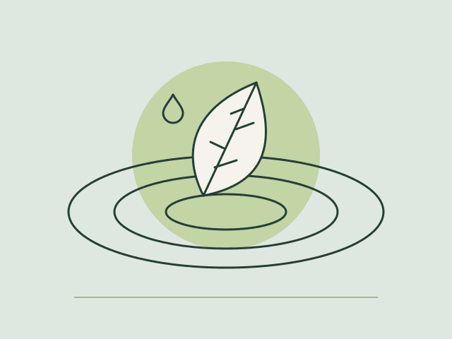 Illustration originale de trois cercles d’eau et d’une feuille flottante.